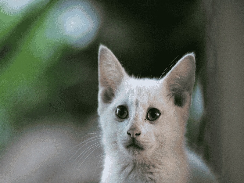 长沙萃取要用试管吗（江门泰国试管费用是多少）