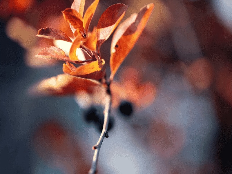 长沙试管做几代好,2024年长沙试管建档时间要求（试管为何要来月经）